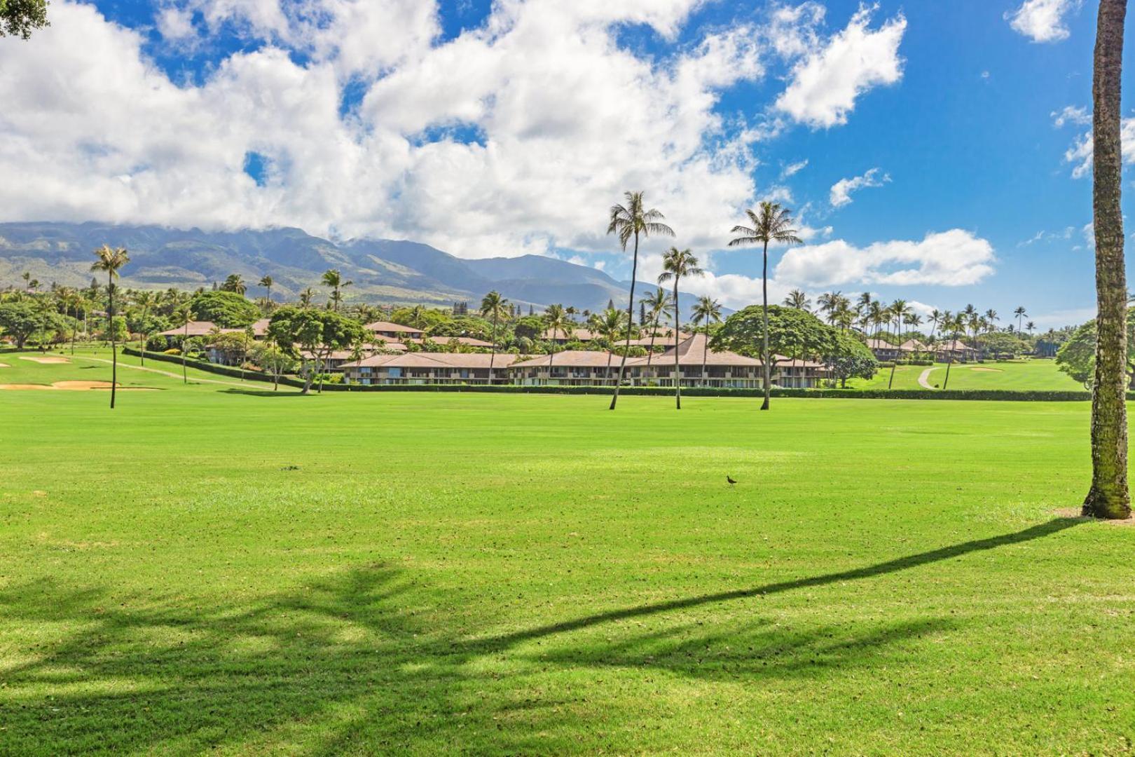 Maui Eldorado - L-105 - Hotel Kahana Exterior photo